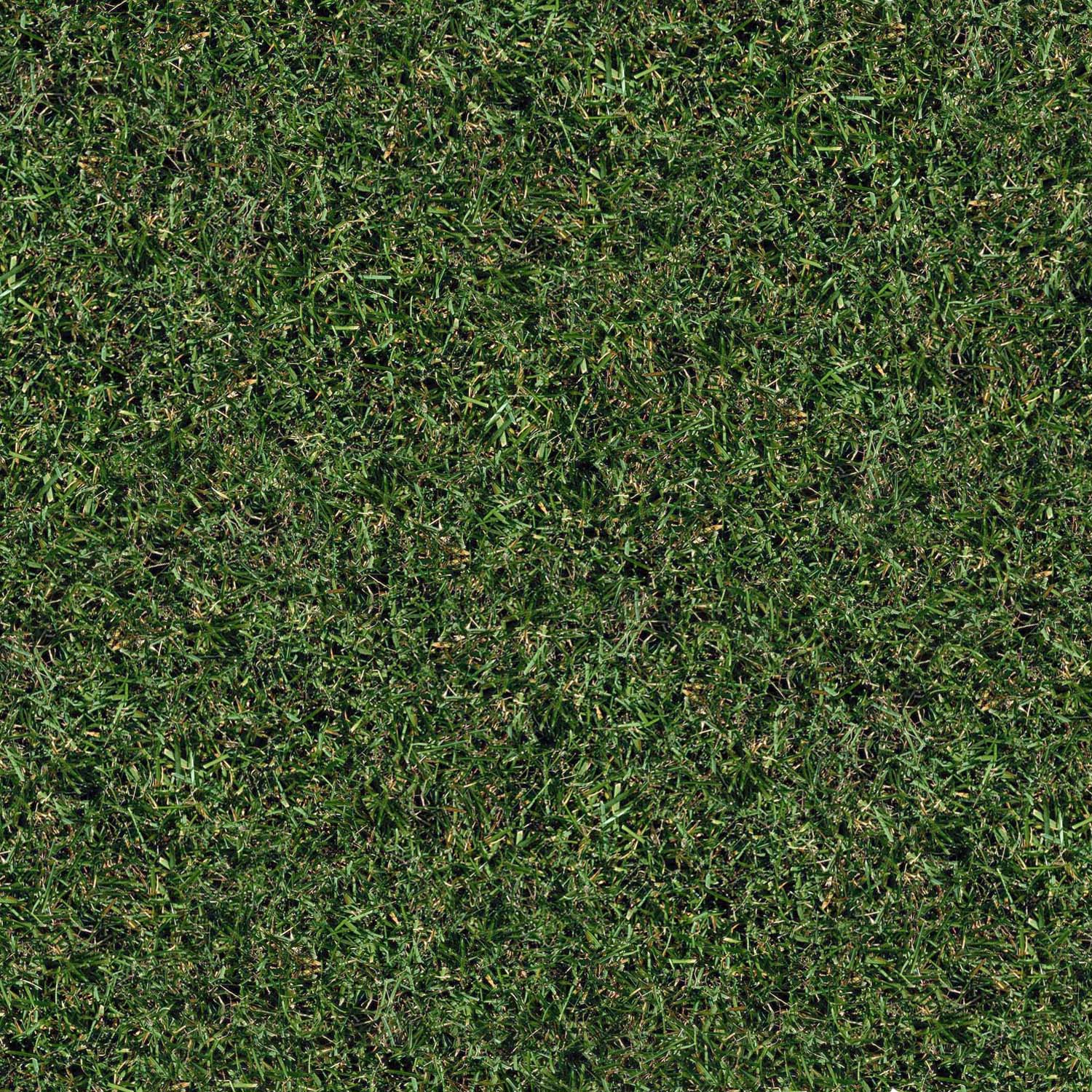 grass_7.jpg