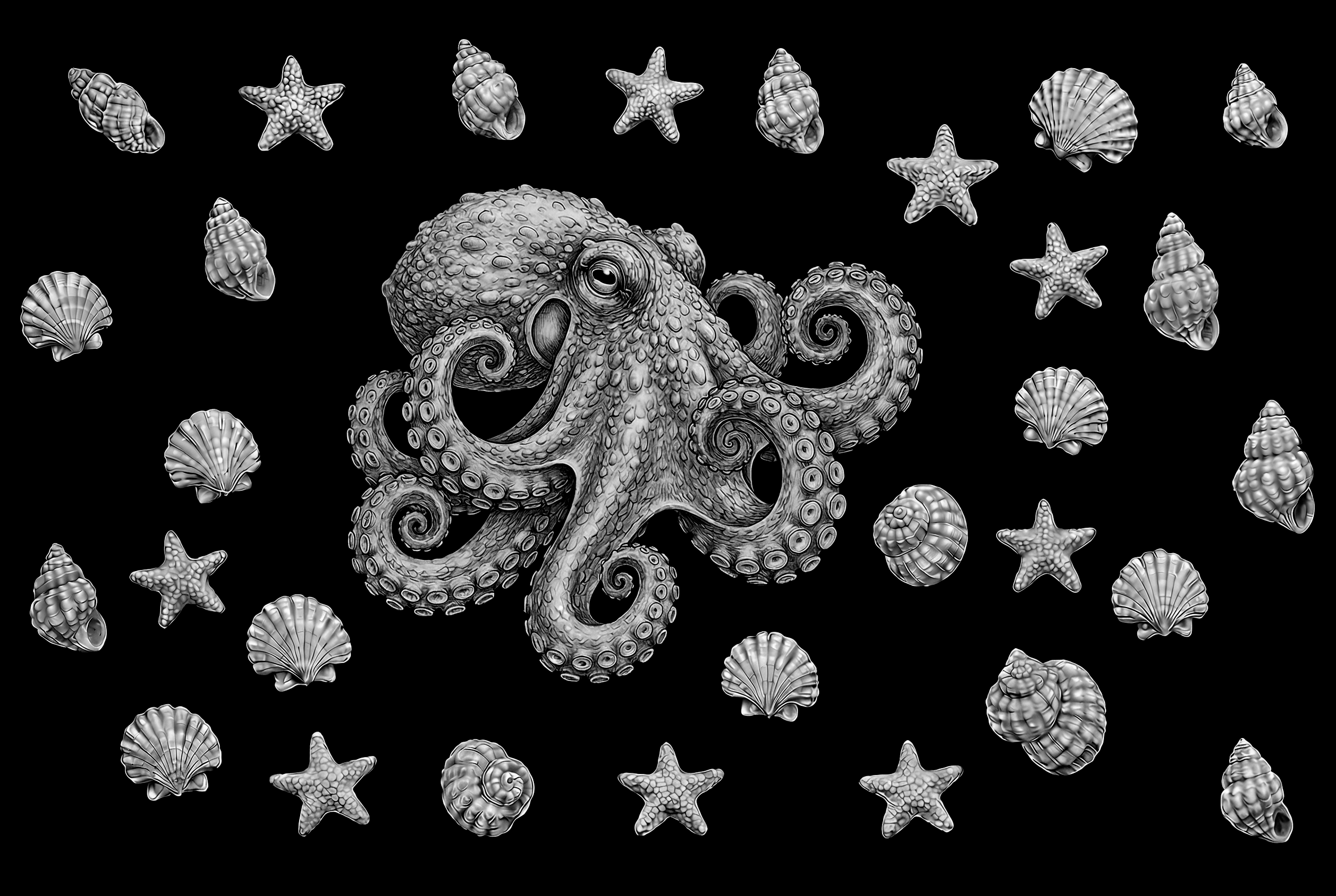 osminog drugoy++.png