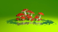 мухоморы